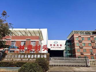 Wuhan Linmei Head Plate Co., Ltd.
