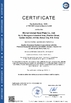 চীন Wuhan Linmei Head Plate Co., Ltd. সার্টিফিকেশন